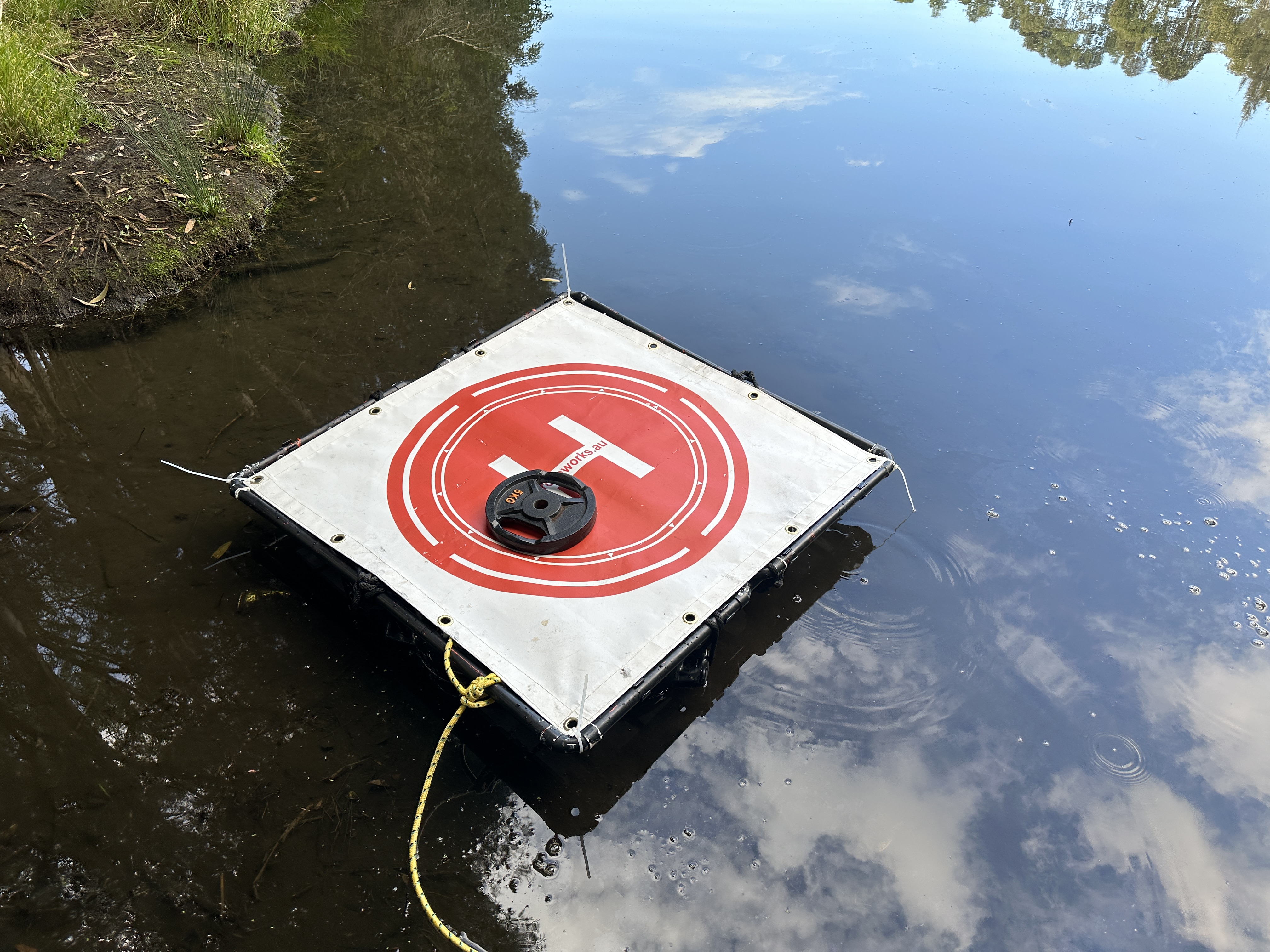 waterborne