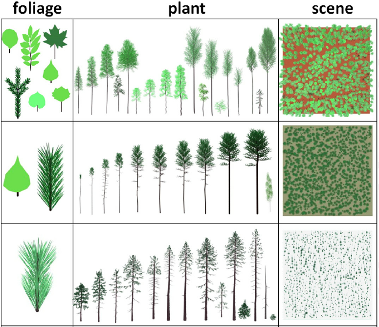 Close view of canopy differences captured in NIR