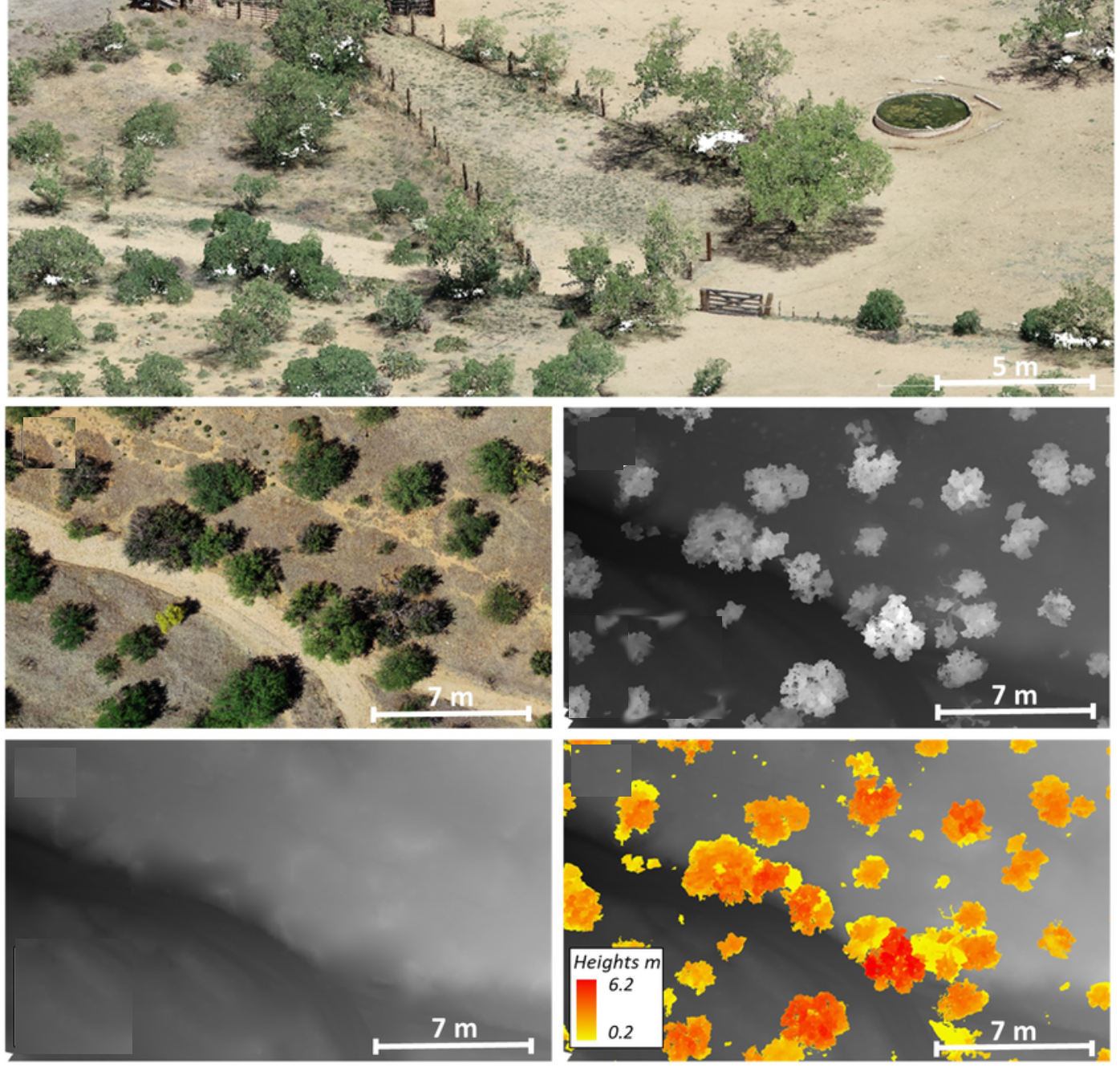 Land cover classification showing vegetation, soil, and built surfaces