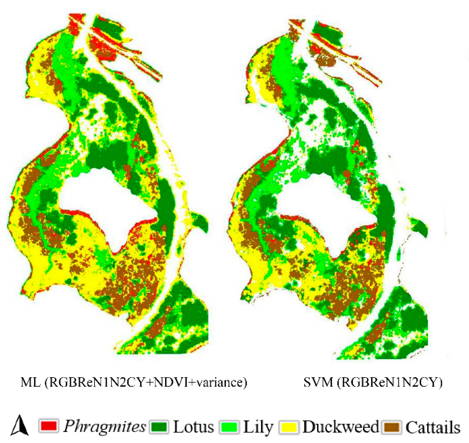 Wetland habitat mapping using false color