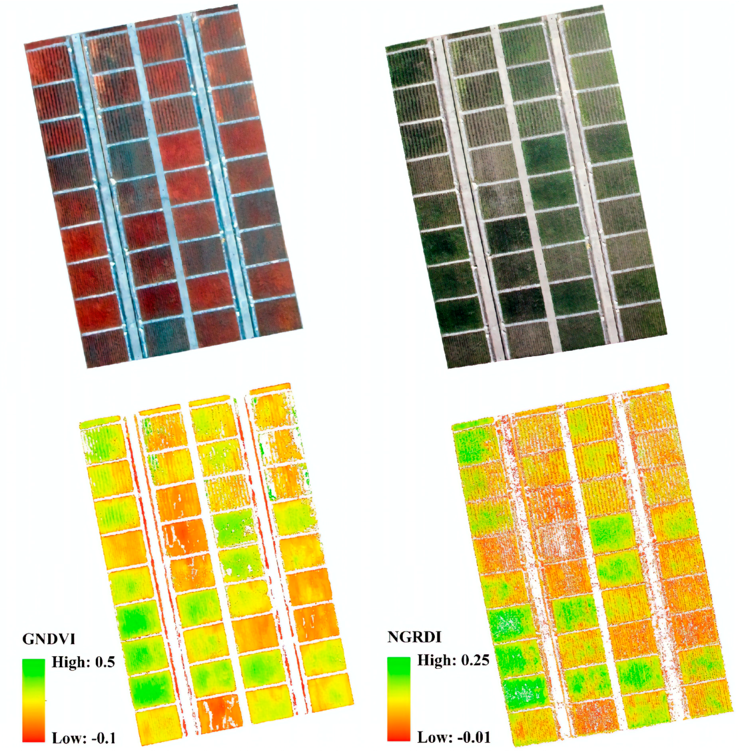 Red-edge vs RGB comparison revealing early stress