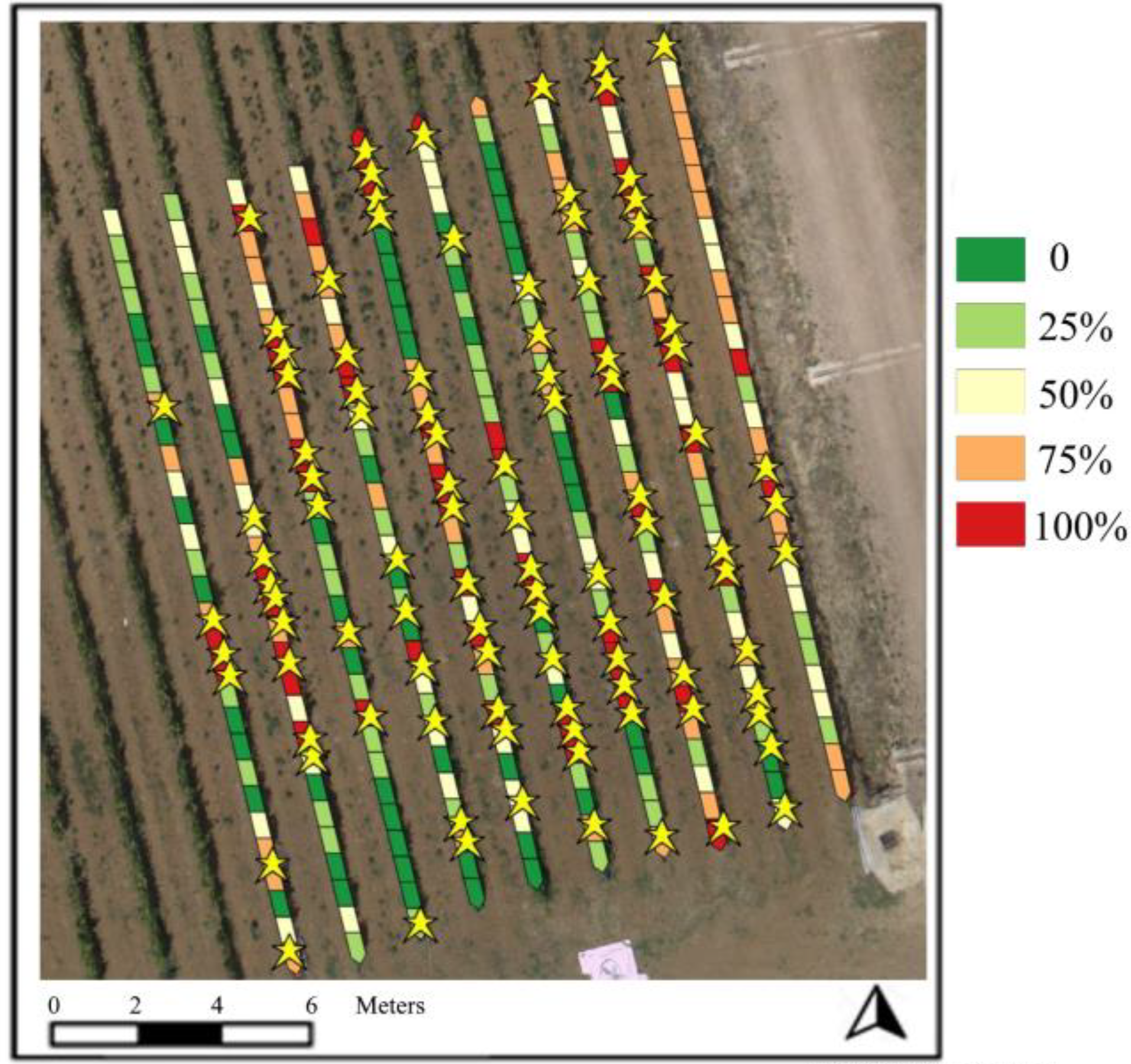NDVI map highlighting crop vigor variability